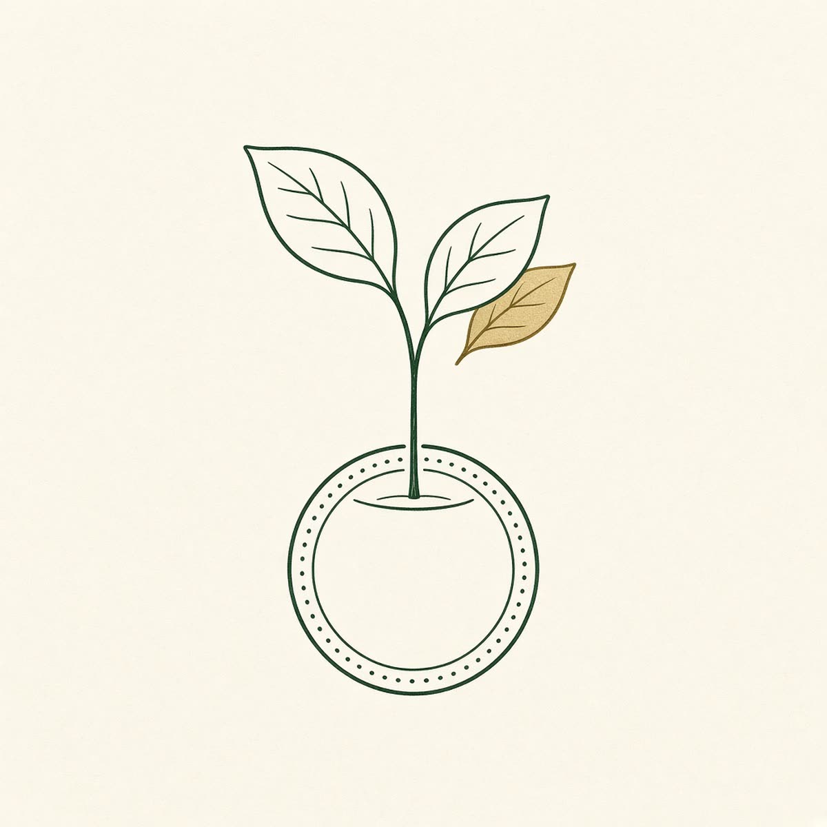 Line drawing of a growing plant in a coin pot.