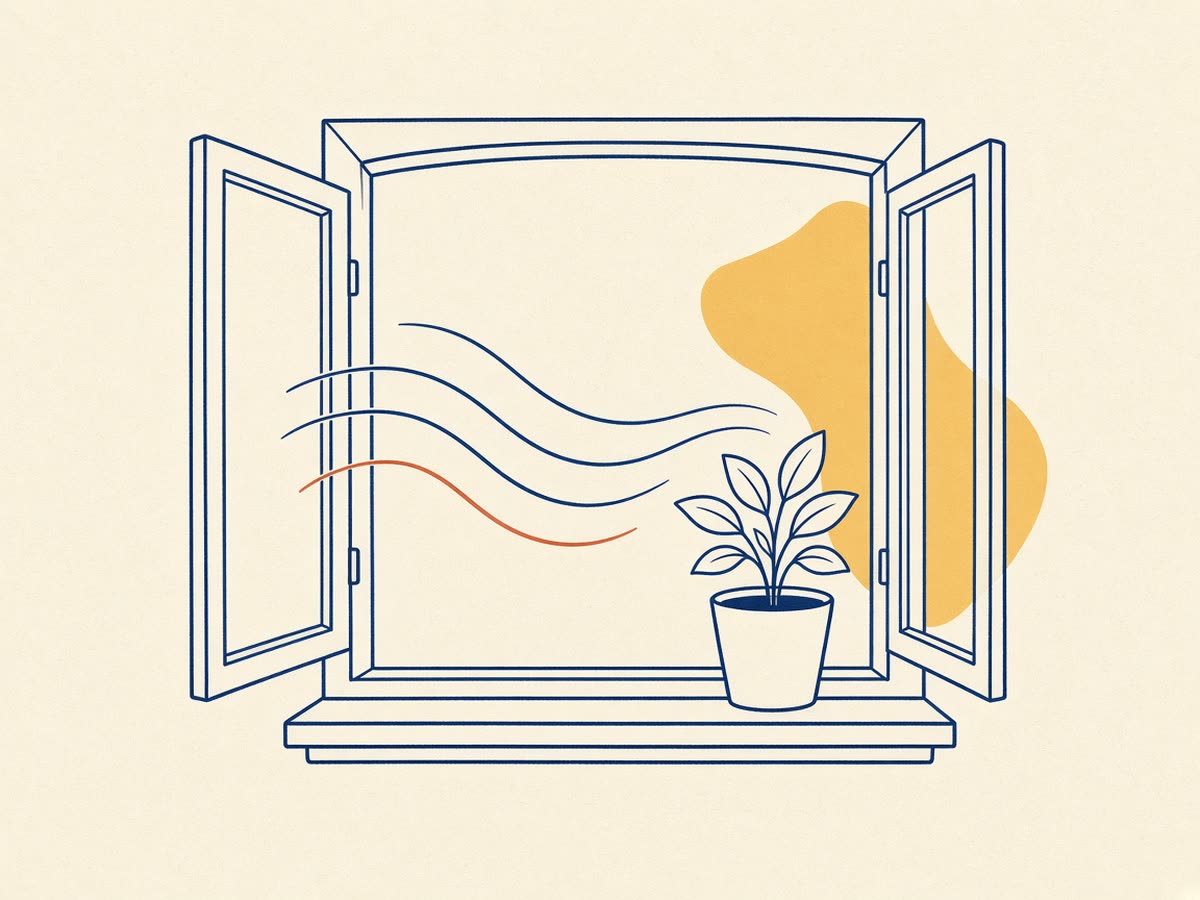 Line drawing of a window with clean airflow lines and a small plant.